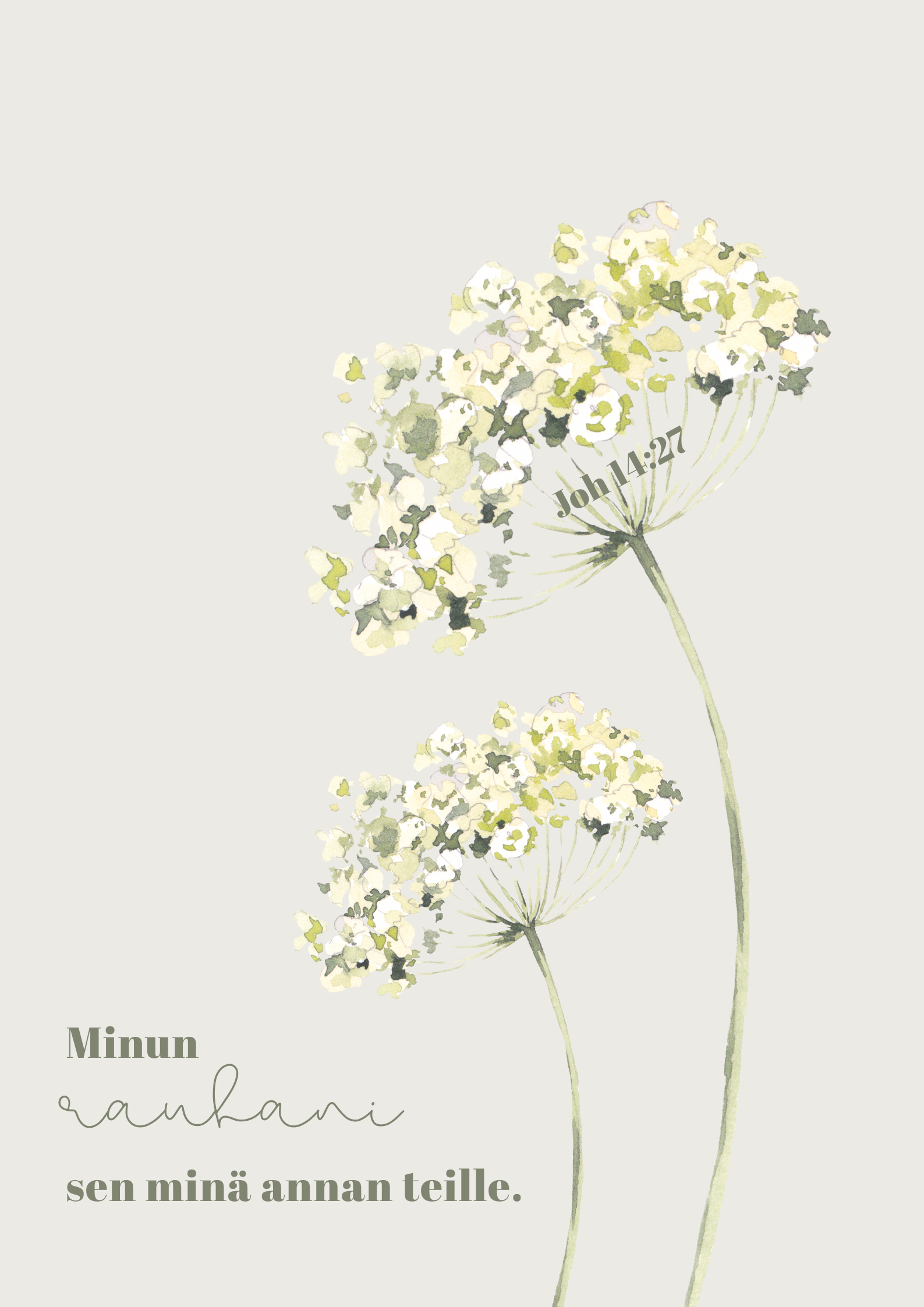 KAIVOLLA Kortti Rauha