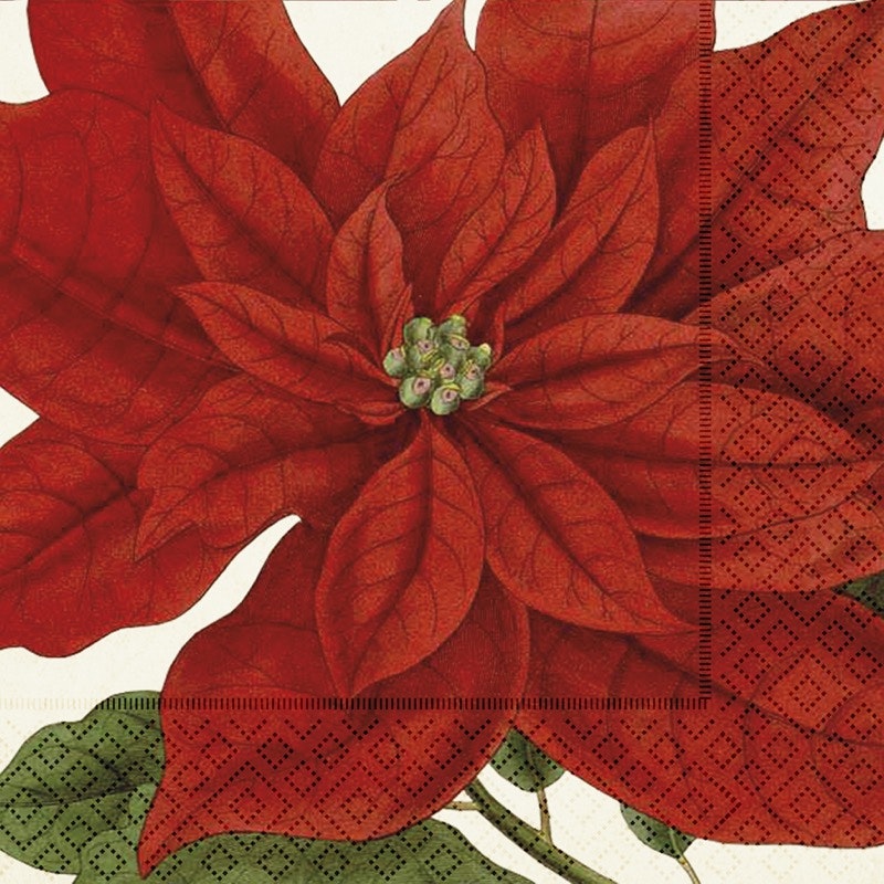 Servetti Joulutähti