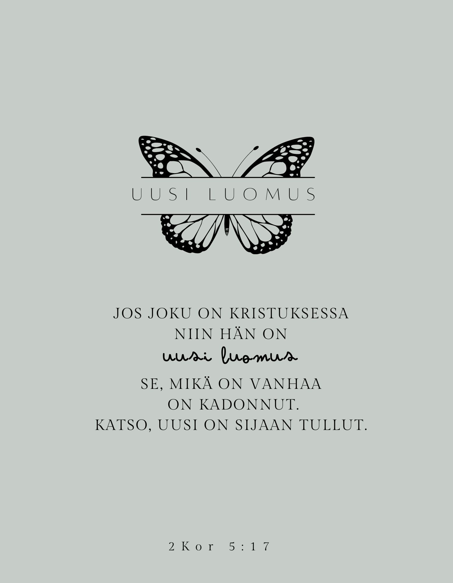 KAIVOLLA Kortti Uusi luomus