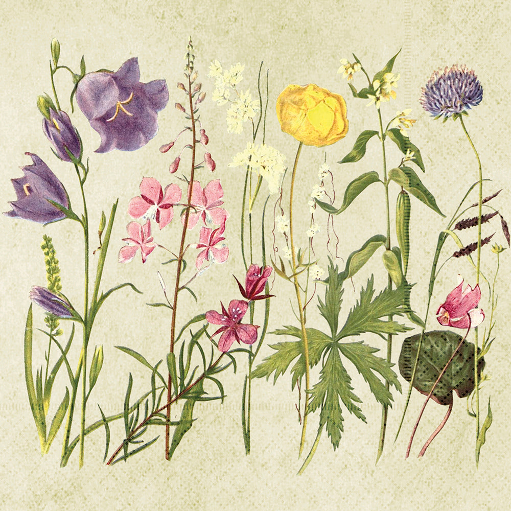 Servetti Kukkaniitty