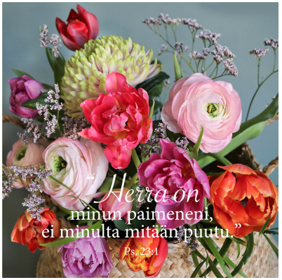 Magneetti Herra on paimeneni
